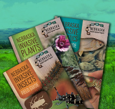 Field Guides and Brochures