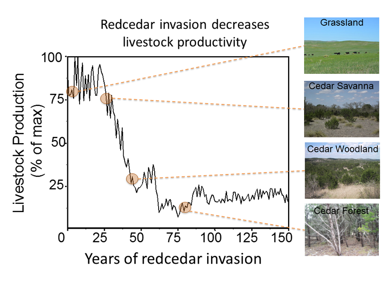 Livestock productivity decrease graph