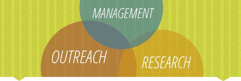 Management, Outreach & Research Graphic