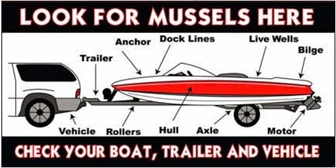 Diagram of places on your boat to check for zebra mussels