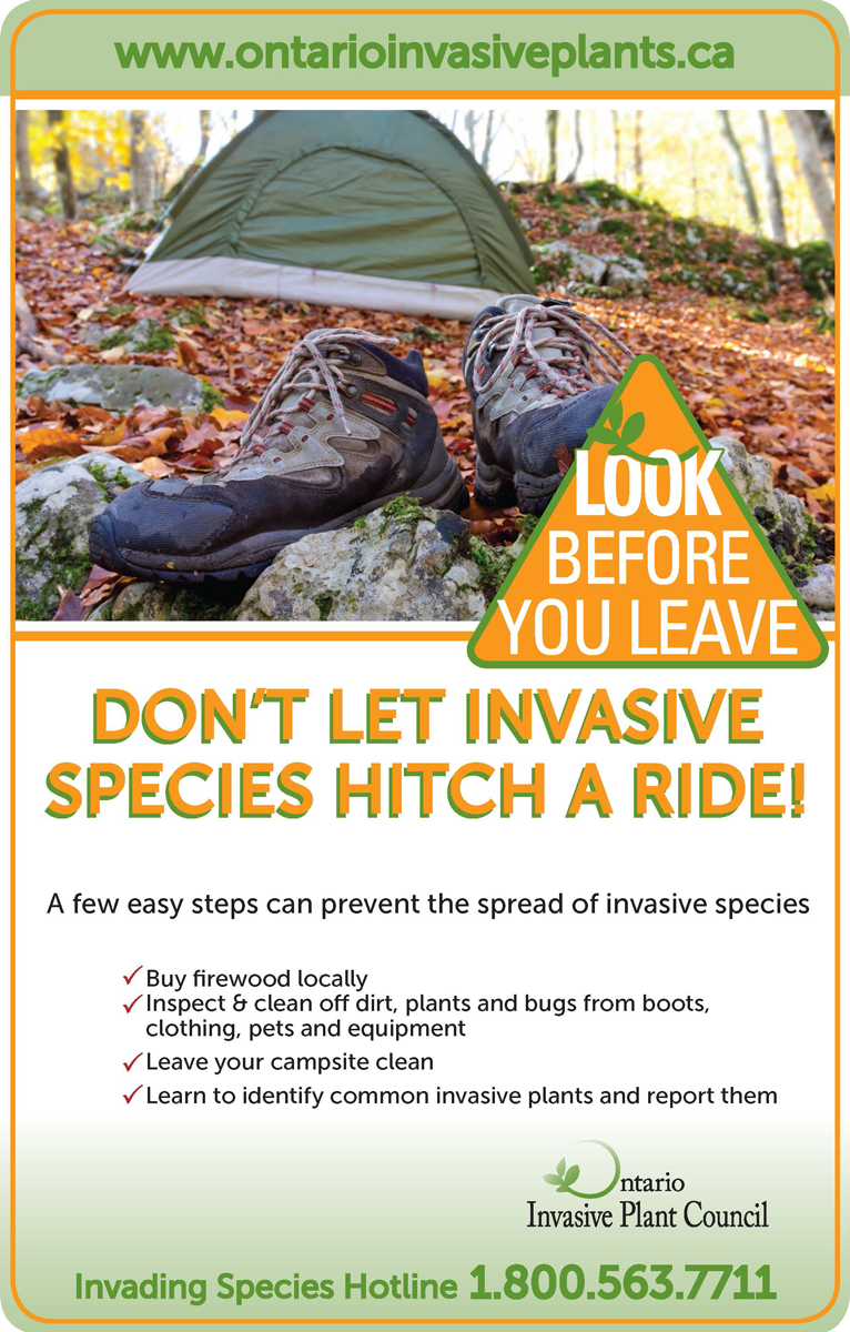Don't let invasive species hitch a ride!