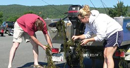Removing plants from a boat
