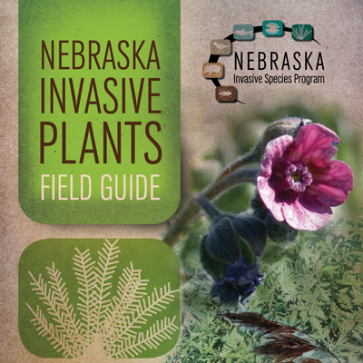 Invasive Plants Field Guide