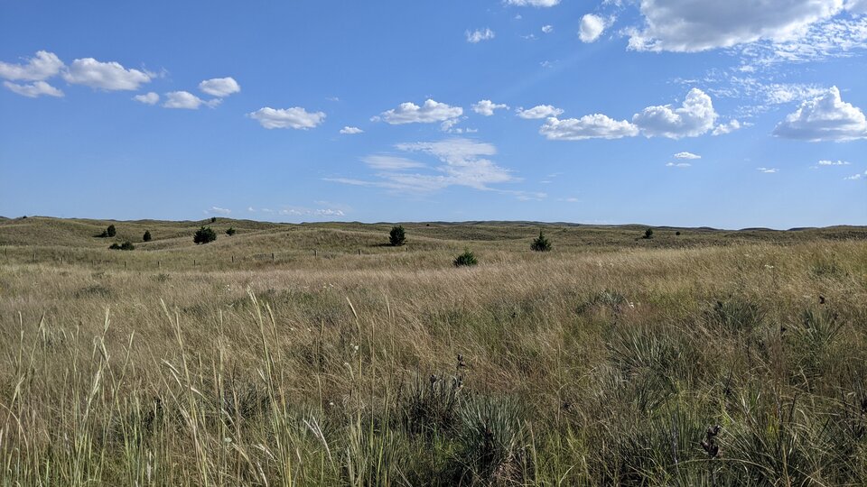 Nebraska National Forest