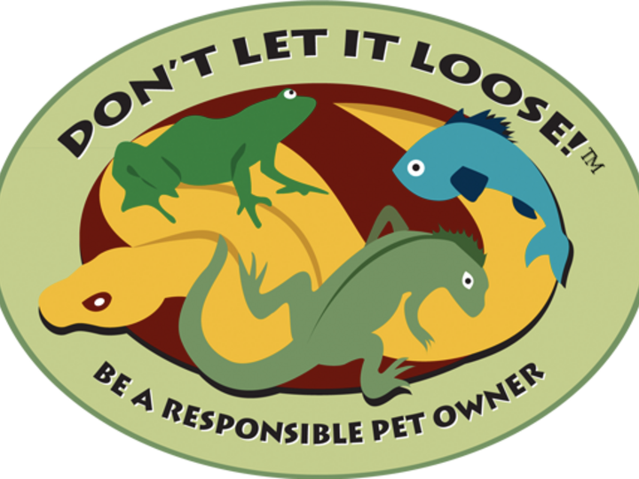 Logo with green frog, blue fish, yellow snake, and green lizard on tan background, reading "Don't Let It Loose! Be a Responsible Pet Owner."