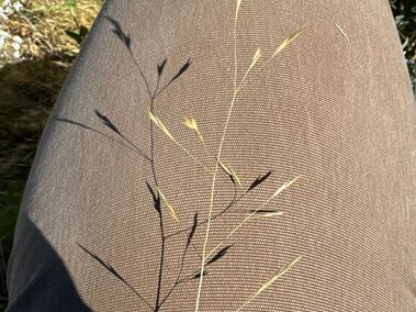 A thin grass stem casting a shadow on brown fabric in sunlight.