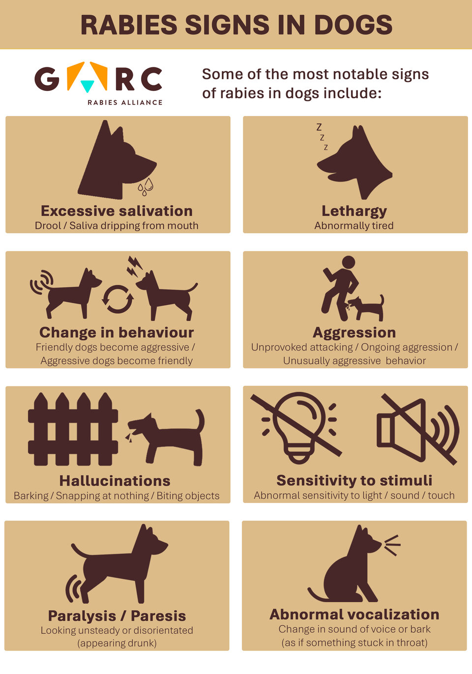Rabies symptoms in dogs infographic displaying eight symptoms with icons and short descriptions.