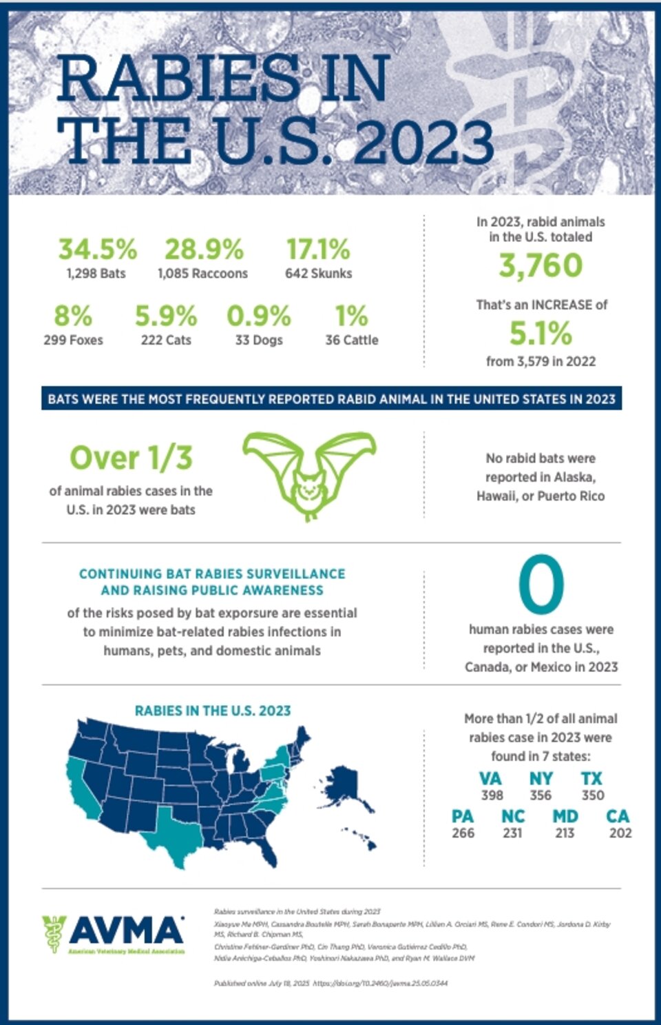 Rabies infographic highlighting U.S. 2023 data, featuring statistics, bat focus, and regional map.